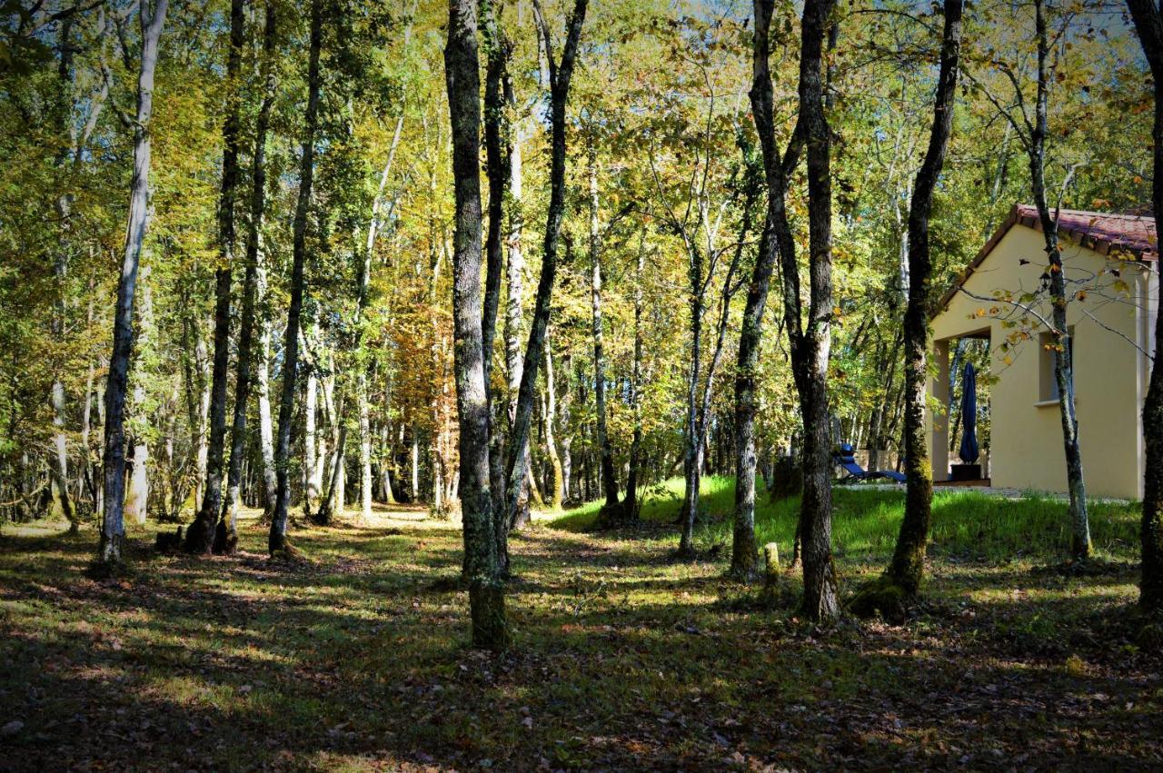 Gite Spa & Nature Saint-Chamassy Esterno foto